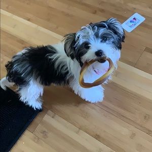 Meet your Posher, Sandi